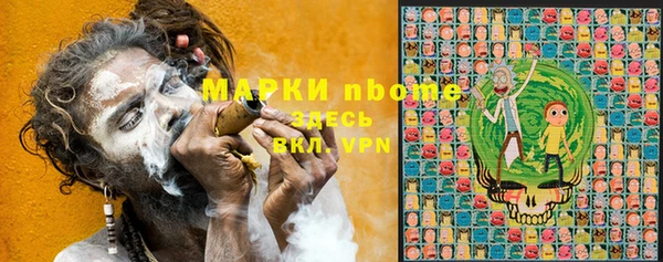 молекула духа Бородино