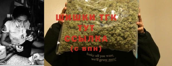 молекула духа Бородино
